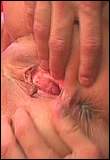 sexfoto: sperma - Rijpe zuigslet komt spuitend klaar als drie vingers...
